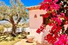 Villa en Benissa - Villa MARIPOSA Benissa – Estilo rústico, piscina con solárium y entorno tranquilo en la Costa Blanca Villa en Benissa - Villa MARIPOSA Benissa – Estilo rústico, piscina con solárium y entorno tranquilo en la Costa Blanca