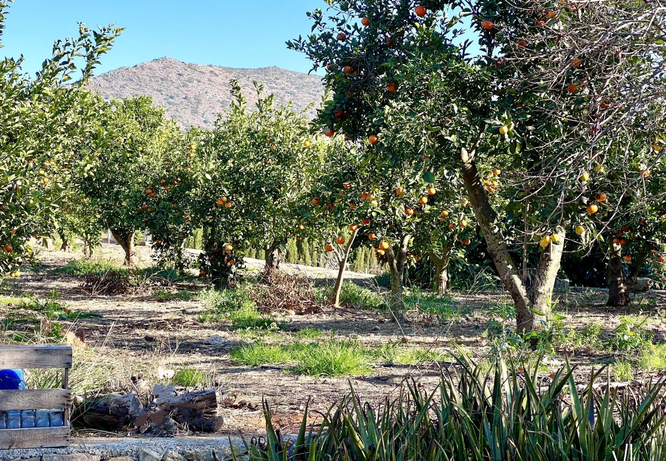 Villa en La Xara - CASA BLANCA - Gran finca rústica para 14 personas