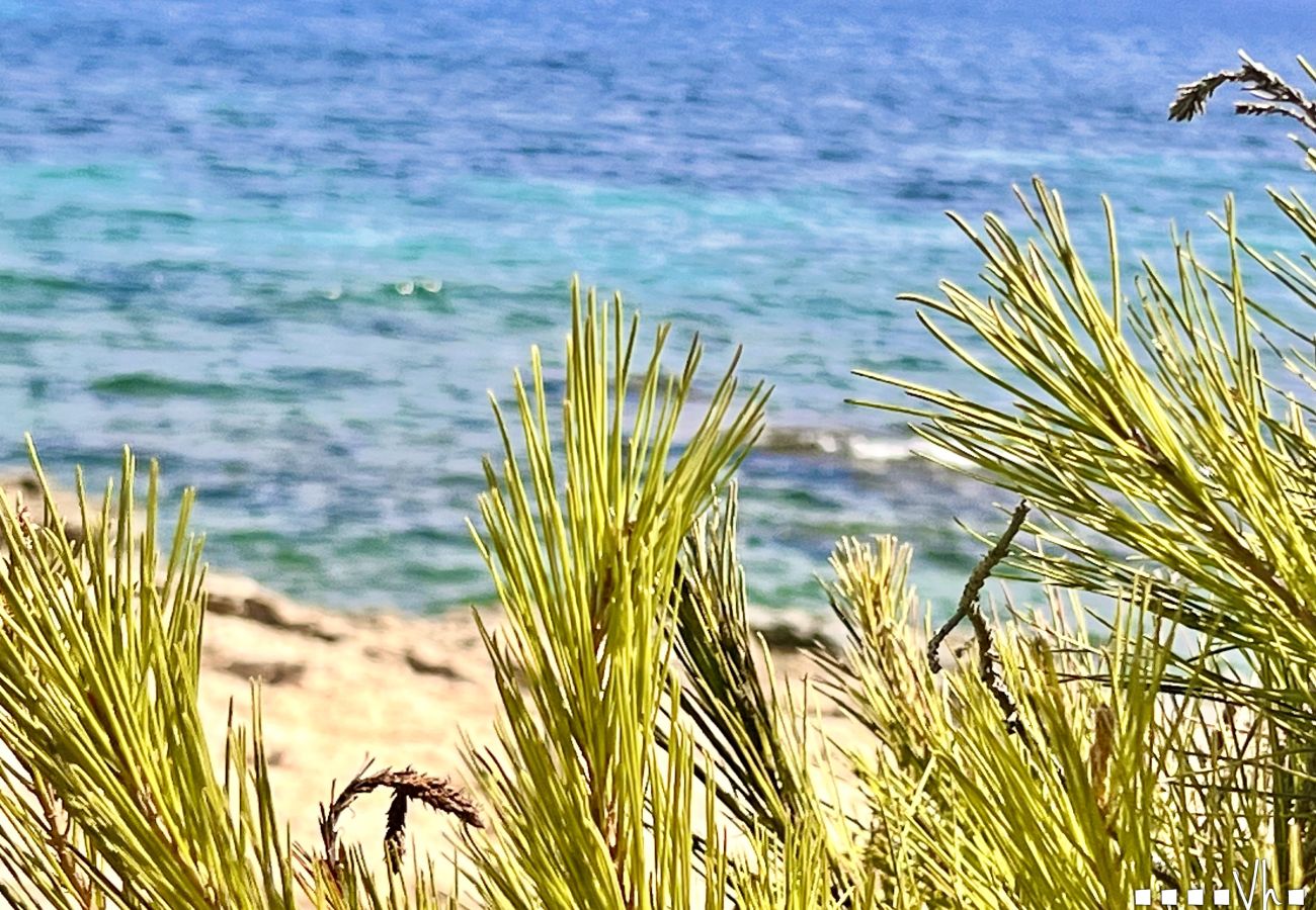 Ferienwohnung in Moraira - APARTAMENTO SUNLOFT - Das Apartment befindet sich in zentraler Lage, nur 200 m vom Strand entfernt.