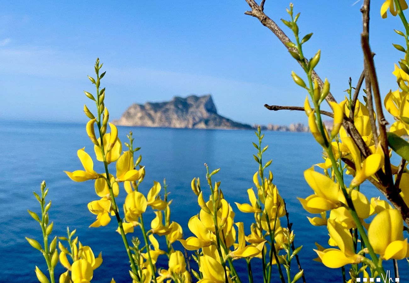 Villa à Moraira - ANDRAGO - Villa rustique près de la mer