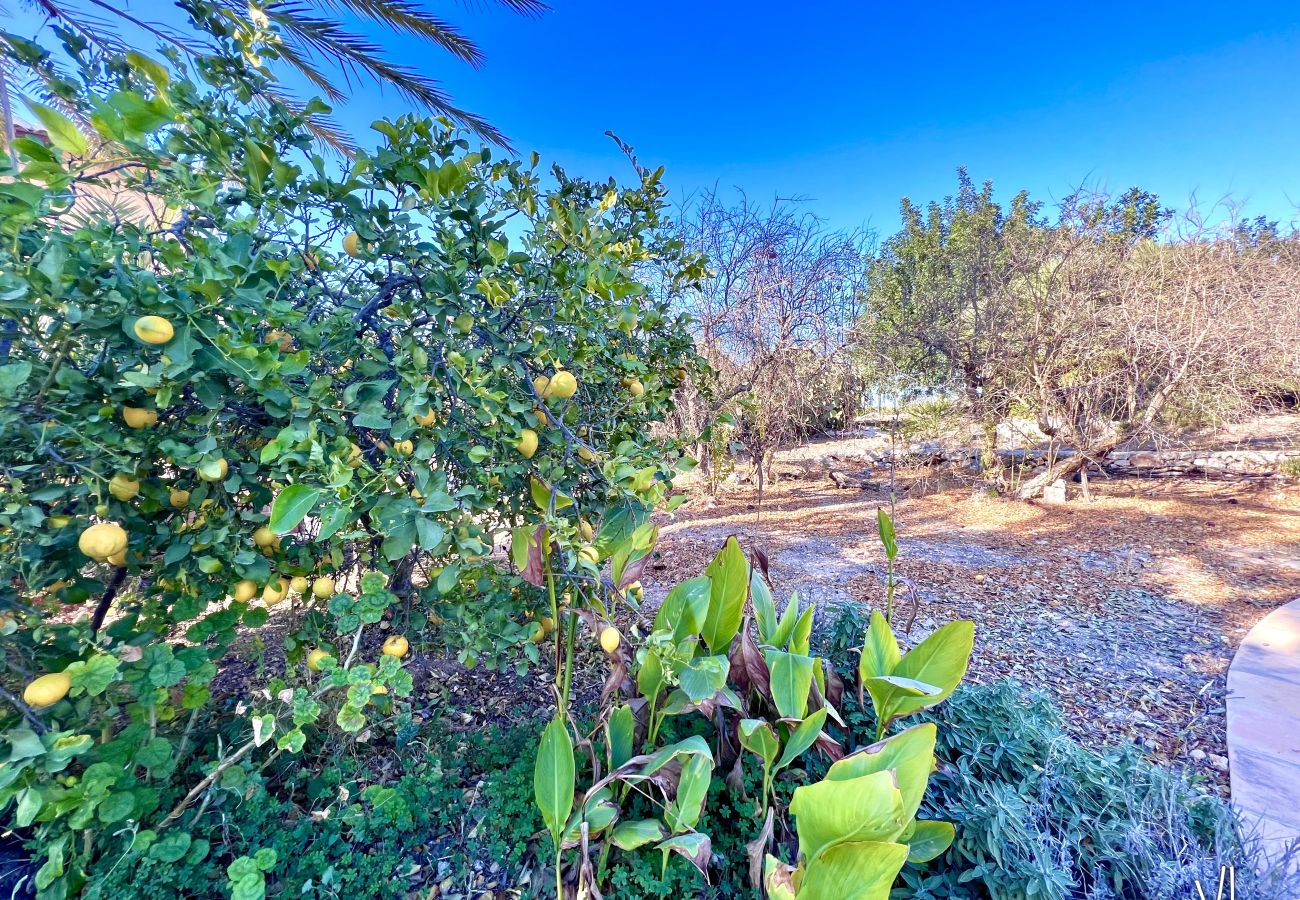 Villa à La Xara - CASA BLANCA - Grande finca rustique pour 14 personnes